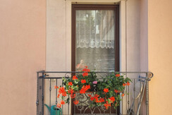 Immagine WhatsApp 2024-11-23 ore 10.49.38_a413e7cf