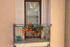 Immagine WhatsApp 2024-11-23 ore 10.49.35_f8843d58