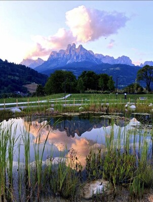 87740c7a-e22e-4c2d-8f85-cfeb37eb4cb3