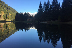 069763B0-A8B3-4E0E-B1FD-120E6B568854