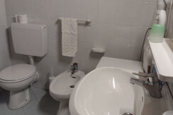 WhatsApp Image 2022-10-20 at 14.26.36