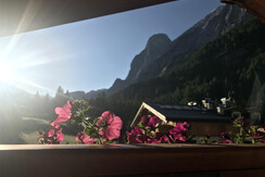 Apartment 4 - holiday home