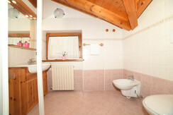 Snow holidays in the Alps