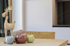 GiancarloDorich-App.Violetta©FrancescoDetomas-15