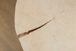 GiancarloDorich-App.Violetta©FrancescoDetomas-17