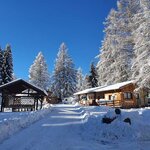 Foto di Piazzola Standard