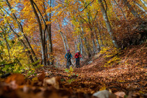 Aut_bike_foliage_sottosoglio_autunno_2020_Gober-9 