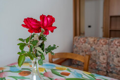 APT_FontanaAdriano_Alta-41