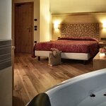  Photo of Double room, shower and bath tub, facing the valley