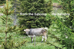 IMG-20230618-WA0007_bis