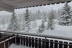 WhatsApp Image 2024-02-27 at 09.00.22