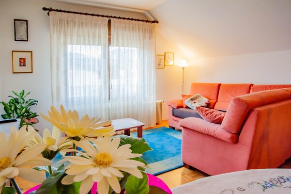 Maria-0002110418 (2018_04_12 14_37_51 UTC)