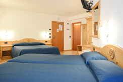 abete_bianco (17 of 60)