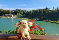 Schermata 2021-10-04 alle 13.59.19