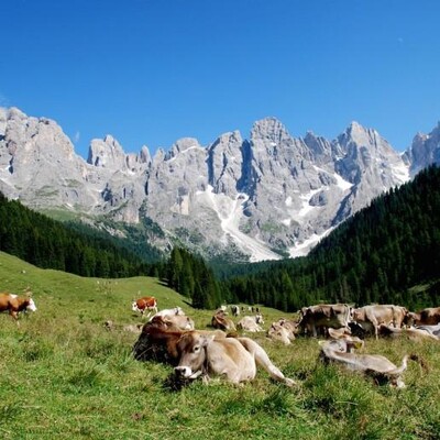 Gran-festa-del-Desmontegar-Desmontegada-Primiero-D