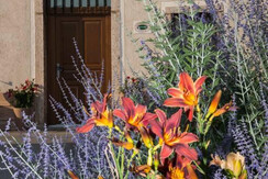 FOTO ESTERNA DEPENDANCE