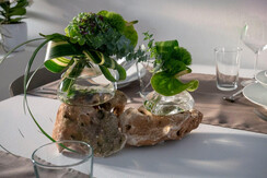 Casa_Verde_Lasino_14