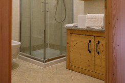 Longa stella alpina 4