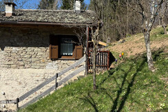 WhatsApp Image 2025-04-06 at 17.14.28