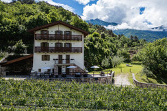 20240603_masosalim-0259 (FILEminimizer)