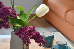 Maso Tofolaci 1 ┬® foto Daniele Mosna-2195