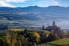 7503ff30-9d0f-4bdc-9b2b-70a3381afb21