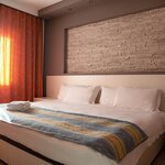 Foto di Primula Family