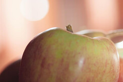 chalet Nocciolo_7526 (7)