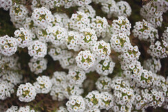 chalet Nocciolo_7526 (26)