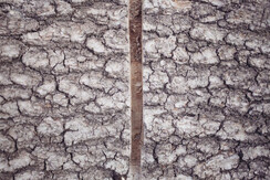 chalet Nocciolo_7526 (27)