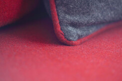 Soldanella_0032-HDR (13)