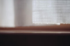 Soldanella_0032-HDR (15)