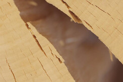 Stella ALpina_309_9933-HDR (10)