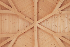 Soldanella_0032-HDR (5)