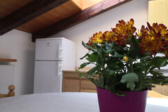 WhatsApp Image 2025-04-03 at 10.40.50