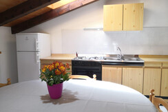 WhatsApp Image 2025-04-03 at 10.40.49