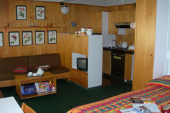 living room with sofa