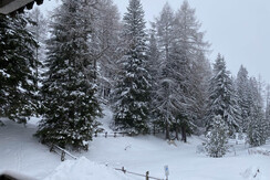 vista_del_giardino_dal_balcone_secondario