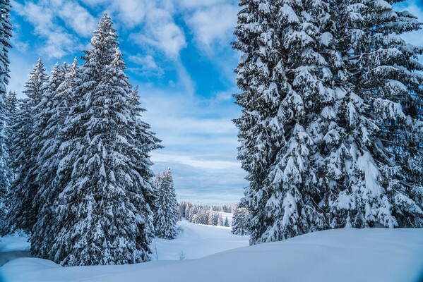 Win_family_millegrobbe_febbraio_2021_Apt Alpe Cimb