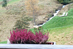 WhatsApp Image 2024-10-23 at 10.13.17