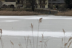 Comincia il ghiaccio