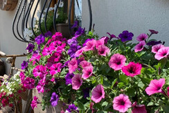 E3A6D557-76D4-46C9-B6B3-5083FE533D1F