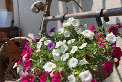 83F5AFB1-7A14-4369-BD06-8AE6C605CAD0