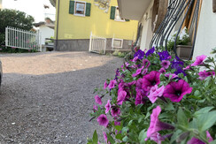 665E8332-9F57-40F8-B193-55231980E079