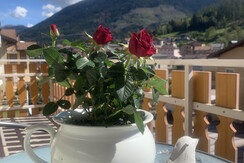 6148D9BB-444F-4AE9-9F0D-12598CC8C176