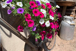 04C450D1-026E-492B-9864-461C78088091