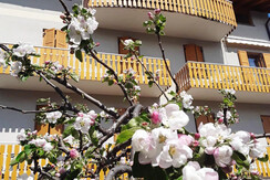 FB8447A5-1B09-4722-A7C5-3ADB52EB1A61