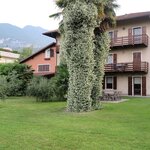  foto van VILLA TURRINI with large garden