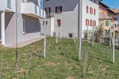 Pink Lady cipat 804163 foto 14