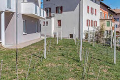 Pink Lady cipat 804163 foto 17